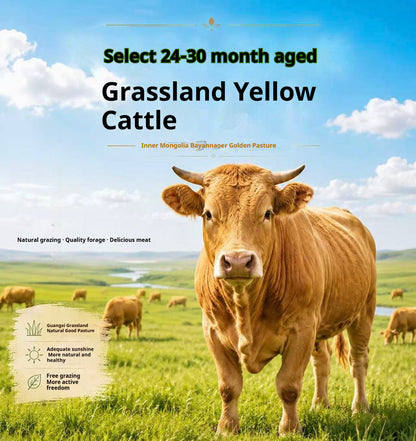 Fruitwood-smoked beef shank